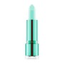 Bálsamo Labial Catrice Hemp & Mint 010-high on life Brillo (4,2 g) | Epamu | Beauty Shop - Parfums, Make-up & Essentials Epamu.eu