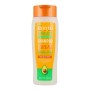 Shampoo und Spülung Cantu 07987-12/3UK Avocado-Öl 400 ml von Cantu, Shampoos - Ref: S0598422, Preis: 7,95 €, Rabatt: %