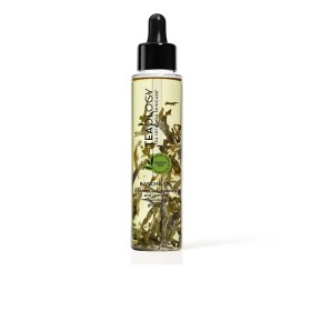 Óleo Facial Teaology Bancha Chá Verde (100 ml) de Teaology, Hidratantes - Ref: S0579291, Preço: 27,82 €, Desconto: %