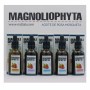 Huile visage Magnoliophytha Aceite De Rosa Mosqueta 30 ml 50 ml de Magnoliophytha, Hydratants - Réf : S0581787, Prix : 15,35 ...