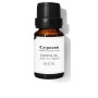 Essential oil Daffoil Cypress 10 ml by Daffoil, Essential oils - Ref: S0583212, Price: 11,95 €, Discount: %