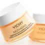 Crème de jour Vichy Neovadiol Peau mixte Peau normale Ménopause (50 ml) de Vichy, Hydratants - Réf : S0593095, Prix : 38,91 €...