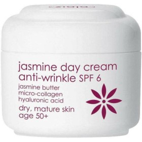 Day Cream Ziaja Jazmin 50 ml by Ziaja, Moisturisers - Ref: S0598049, Price: 7,27 €, Discount: %