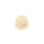 Loose Dust Clinique Blended Invisble bend 35 g by Clinique, Powders - Ref: S05101356, Price: 34,22 €, Discount: %