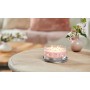 Vela Perfumada Yankee Candle Signature 5-Wick Tumbler 340 ml de Yankee Candle, Velas - Ref: S8317495, Preço: 27,81 €, Descont...