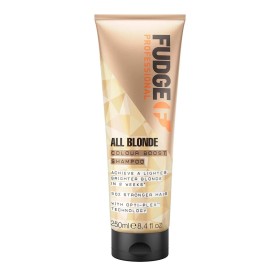 Champô Fudge Professional All Blonde Colour Boost 250 ml de Fudge Professional, Champôs - Ref: M0117918, Preço: 9,37 €, Desco...