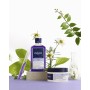 Creme Pentear Phyto Paris Violet 250 ml de Phyto Paris, Cuidado do cabelo e do couro cabeludo - Ref: S05113021, Preço: 14,28 ...