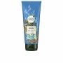 Acondicionador Reparador Herbal Aceite de Argán 275 ml de Herbal, Acondicionadores - Ref: S05116903, Precio: 6,44 €, Descuent...