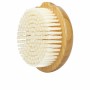 Brosse nettoyante et exfoliante Lussoni Bamboo Rond de Lussoni, Brosses - Réf : S05118060, Prix : 9,53 €, Remise : %