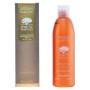 Shampooing nourrissant Argan Sublime Farmavita 250 ml 1 L de Farmavita, Shampooings - Réf : S0555157, Prix : 16,52 €, Remise : %