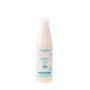 Non-Clarifying Conditioner 21 Salerm by Salerm, Conditioners - Ref: S0555216, Price: 10,02 €, Discount: %