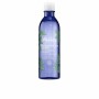 Agua Micelar Bouquet Floral Detox Melvita (200 ml) de Melvita, Limpiadores y exfoliantes - Ref: S0580410, Precio: 13,66 €, De...