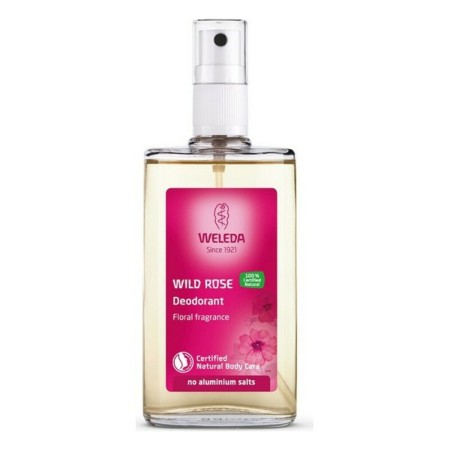 Desodorizante Roll-On Rosa Mosqueta Weleda 4001638088084 (100 ml) de Weleda, Desodorizantes - Ref: S0582471, Preço: 18,07 €, ...