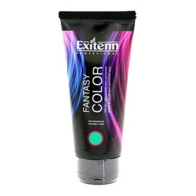 Permanent Dye Fantasy Exitenn Green (100 ml) by Exitenn, Permanent Colour - Ref: S4241712, Price: 11,39 €, Discount: %