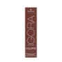 Dauerfärbung Igora Color10 Schwarzkopf 7-1 (60 ml) von Schwarzkopf, Farben - Ref: S4244482, Preis: 10,72 €, Rabatt: %