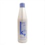 Champú Antiencrespamiento Salerm Keratin Shot de Salerm, Champús - Ref: S4245148, Precio: 18,17 €, Descuento: %