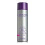 Champô Amethyste Color Farmavita de Farmavita, Champôs - Ref: S4256005, Preço: 19,07 €, Desconto: %