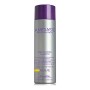 Shampoo Amethyste Regulate Sebo Control Farmavita von Farmavita, Shampoos - Ref: S4256012, Preis: 17,86 €, Rabatt: %