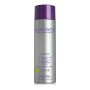 Shampoo Amethyste Stimulate Farmavita von Farmavita, Shampoos - Ref: S4256017, Preis: 18,92 €, Rabatt: %