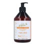 Shampooing Antioxidant Pure Green de Pure Green, Shampooings - Réf : S4256088, Prix : 23,38 €, Remise : %