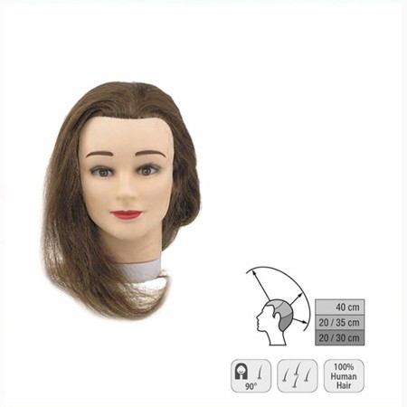 Mannequin Sinelco S0030201 Head (35-40 cm) by Sinelco, Training Heads - Ref: S4258807, Price: 82,46 €, Discount: %