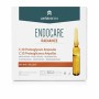 Ampolas Endocare Radiance Proteoglicanos 30 x 2 ml 2 ml de Endocare, Hidratantes - Ref: S05108294, Preço: 47,26 €, Desconto: %