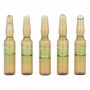 Ampollas Endoncare Tensage Regenerativo (10 x 2 ml) | Epamu | Beauty Shop - Parfums, Make-up & Essentials Epamu.eu