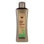 Revitalizing Shampoo Biokera Arganology Salerm 3001 300 ml by Salerm, Shampoos - Ref: S0585162, Price: 15,54 €, Discount: %