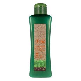 Champú Reforzador de Color Biokera Natura Salerm Macadamia (300 ml)