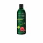 Farbverstärkendes Shampoo Naturalium Super Food Granatapfel (400 ml) von Naturalium, Shampoos - Ref: S0594525, Preis: 5,48 €,...