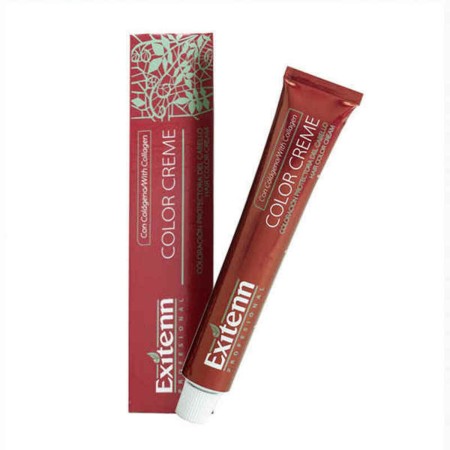 Tinte Permanente Exitenn Color Creme Fucsia (60 ml) de Exitenn, Coloración permanente - Ref: S4242442, Precio: 5,80 €, Descue...