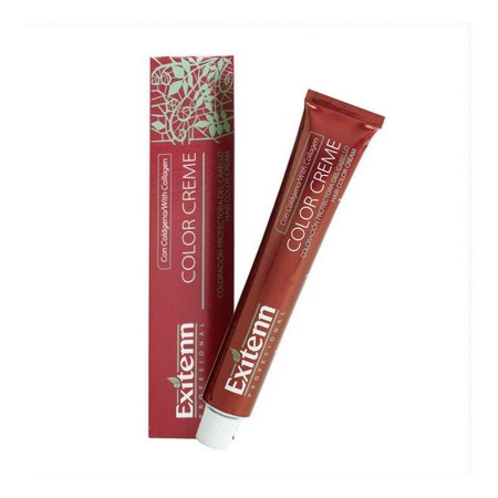 Permanent Dye Color Creme Exitenn Nº 2 Red Fuchsia (60 ml) by Exitenn, Permanent Colour - Ref: S4243059, Price: 5,80 €, Disco...