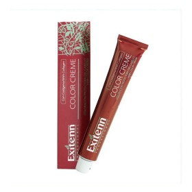 Teinture permanente Color Creme Exitenn Nº 562 Plum (60 ml) de Exitenn, Coloration permanente - Réf : S4244935, Prix : 5,80 €...