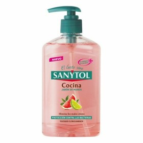 Sapone Liquido Mani con Dosatore Sanytol 280120 Cucina 250 ml di Sanytol, Saponi per le mani - Rif: S7921136, Prezzo: €5.88, ...