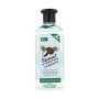 Moisturizing Shampoo Xpel Coconut 400 ml by Xpel, Shampoos - Ref: S8313865, Price: 2,94 €, Discount: %