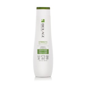 Champô Matrix Biolage Strength Recovery 250 ml de Matrix, Champôs - Ref: S8319190, Preço: 15,61 €, Desconto: %