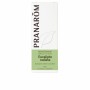 Aceite Esencial Pranarôm Eucalipto 10 ml de Pranarôm, Aceites esenciales - Ref: S05115468, Precio: 6,96 €, Descuento: %