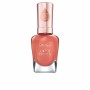 Esmalte de uñas Sally Hansen Color Therapy Nº 300 14,7 ml de Sally Hansen, Esmaltes - Ref: S05112511, Precio: 11,59 €, Descue...