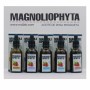 Olio Viso Magnoliophytha Aceite De Rosa Mosqueta 30 ml 50 ml di Magnoliophytha, Idratanti - Rif: S0581783, Prezzo: 13,67 €, S...