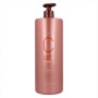 Champô Color Care Risfort 69873 (1000 ml) de Risfort, Champôs - Ref: S4247715, Preço: 8,12 €, Desconto: %