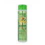 Après-shampooing Avocado Oil Novex 6883 (300 ml) de Novex, Après-shampooings - Réf : S4253332, Prix : 5,89 €, Remise : %