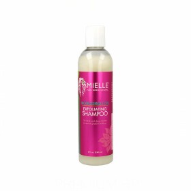 Shampoo Mielle Mongongo Oil Esfoliante (240 ml) di Mielle, Shampoo e balsami - Rif: S4257959, Prezzo: €15.14, Sconto: %