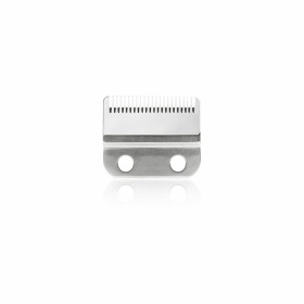 Replacement Head Sthauer Xanitalia 50 Steel (50 uds) by Sthauer, Electric shaver for men - Ref: S4258152, Price: €16.36, Disc...