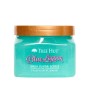 Exfoliante Corporal Tree Hut Blue Lagoon 510 g de Tree Hut, Exfoliantes - Ref: S05122979, Preço: 18,45 €, Desconto: %