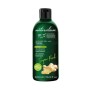 Gel de Ducha Naturalium Jengibre 500 ml de Naturalium, Geles de ducha - Ref: S4517999, Precio: 6,75 €, Descuento: %