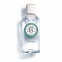 Perfume Unissexo Roger & Gallet Vétyver EDP 100 ml de Roger & Gallet, Água de perfume - Ref: S05123564, Preço: 32,00 €, Desco...