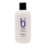 Champú Anticaída Broaer B2 (250 ml) de Broaer, Productos para la caída del cabello - Ref: S0596000, Precio: 9,22 €, Descuento: %