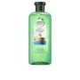 Champú Herbal Botanicals Aloe & Bambu (380 ml) | Epamu | Beauty Shop - Parfums, Make-up & Essentials Epamu.eu