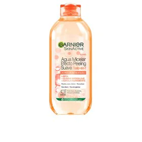 Desmaquilhante Facial Garnier SKINACTIVE 400 ml de Garnier, Limpadores e exfoliantes - Ref: S05127594, Preço: 7,95 €, Descont...