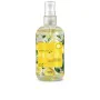 Perfume Mujer Natuaromatic ESENCIA DE MURCIA 250 ml | Epamu | Beauty Shop - Parfums, Make-up & Essentials Epamu.eu